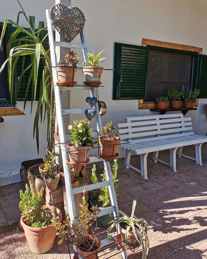 Sunset Valley Village Motta Sant'Anastasia Exterior photo