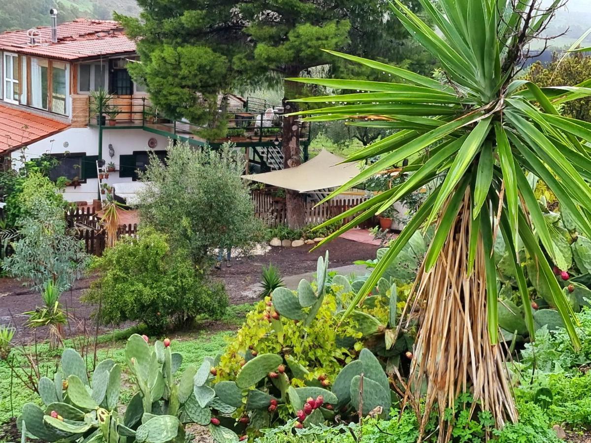 Sunset Valley Village Motta Sant'Anastasia Exterior photo
